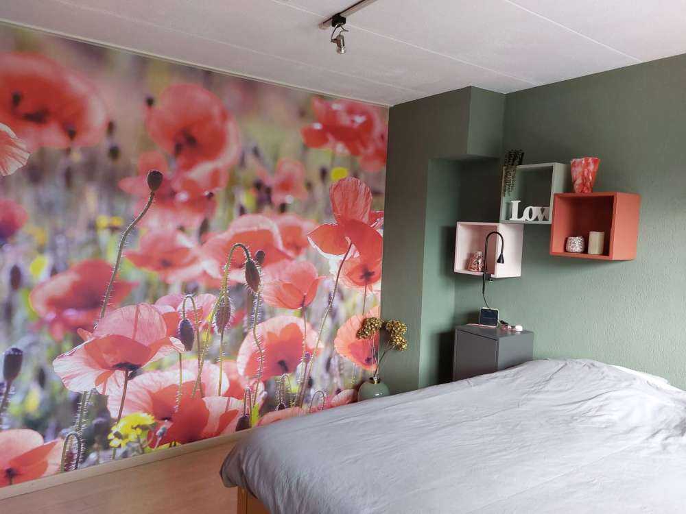 Klaprozen met vintage look