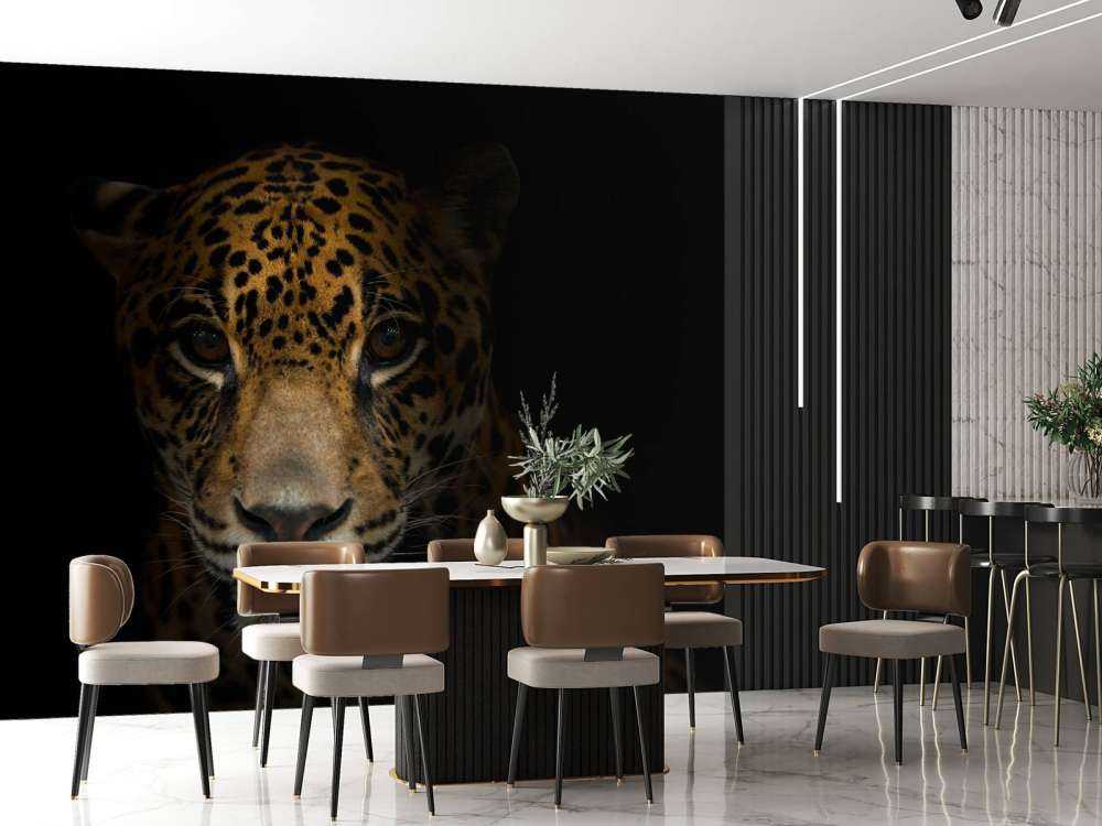 Jaguar met een donkere achtergrond