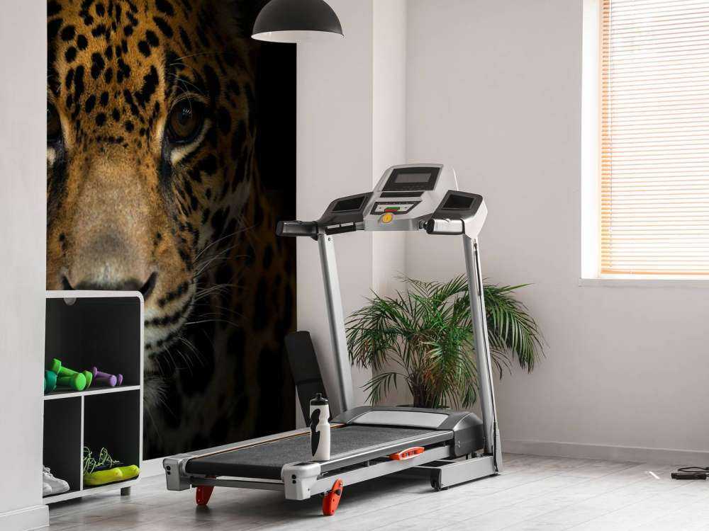 Jaguar met een donkere achtergrond