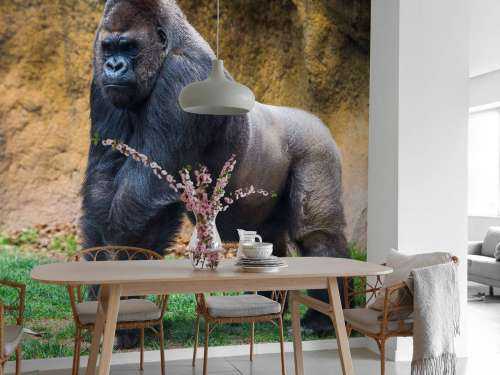 Grote mannelijke gorilla