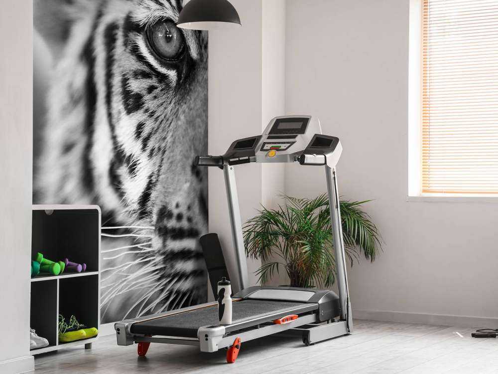 Mooie tijger in zwart-wit