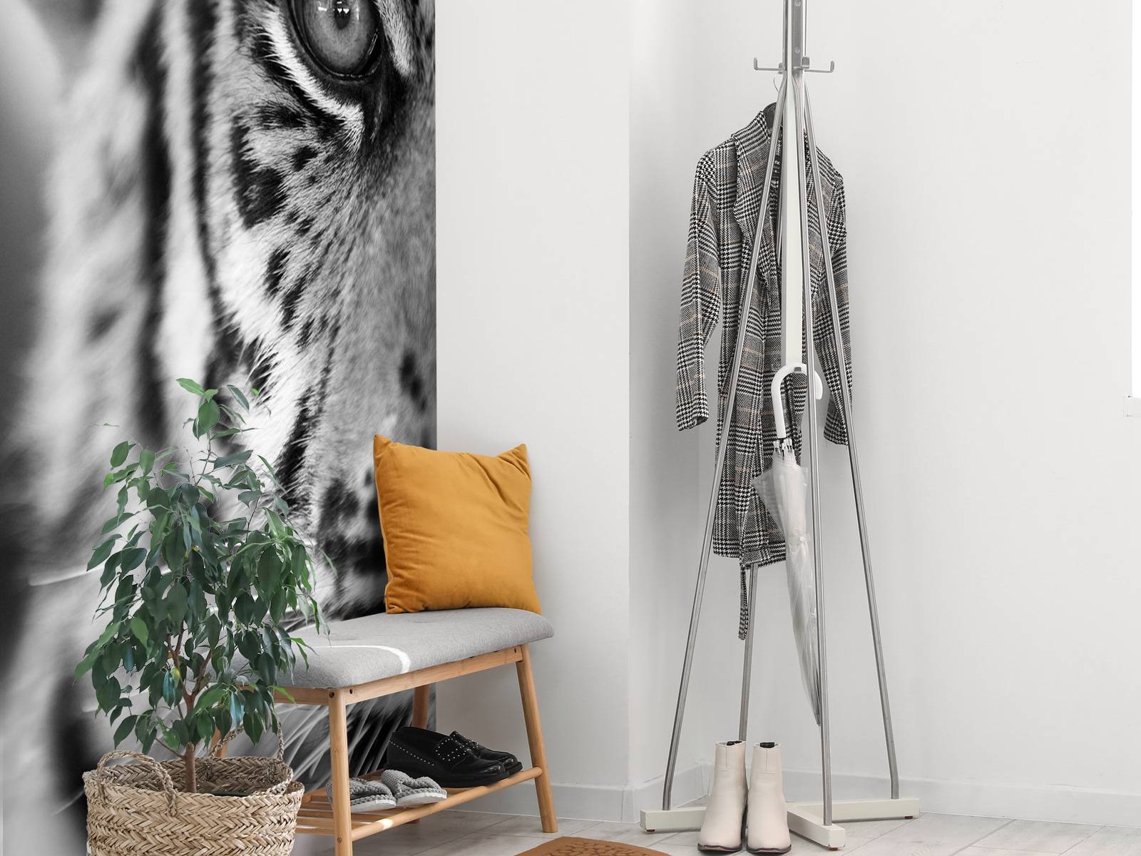Mooie tijger in zwart-wit