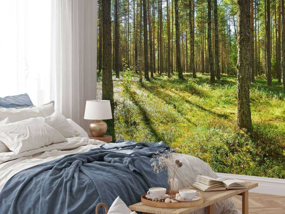 Bomen in het Bos