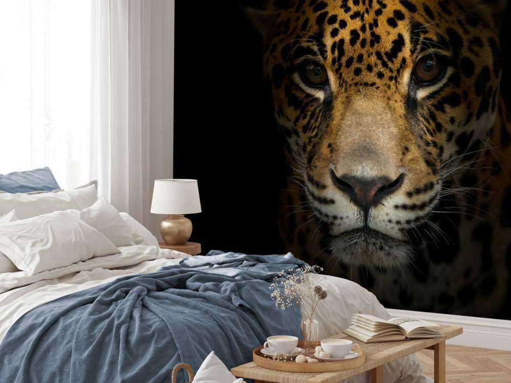 Jaguar met een donkere achtergrond