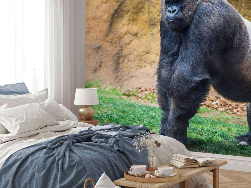 Grote mannelijke gorilla