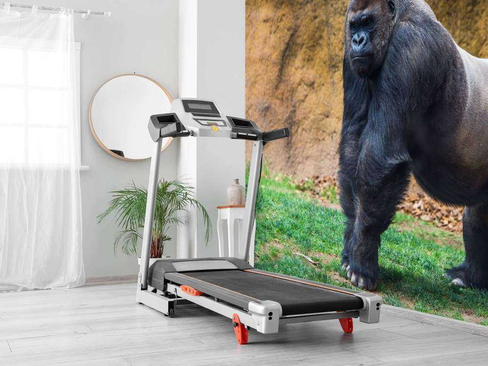 Grote mannelijke gorilla