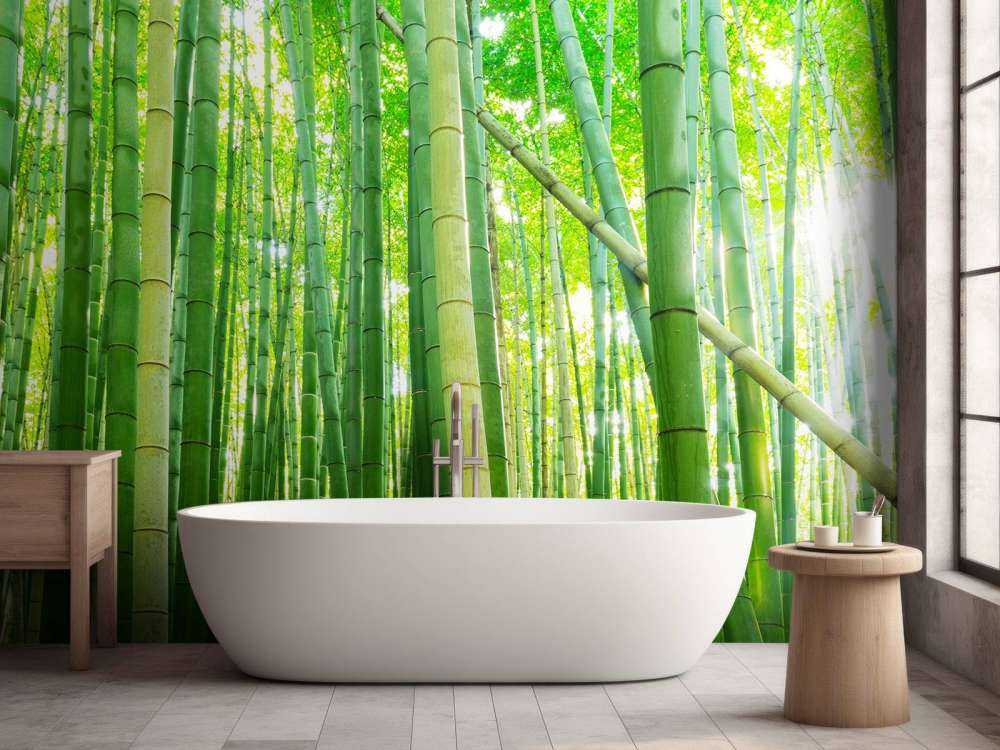 Bamboebos in Kyoto