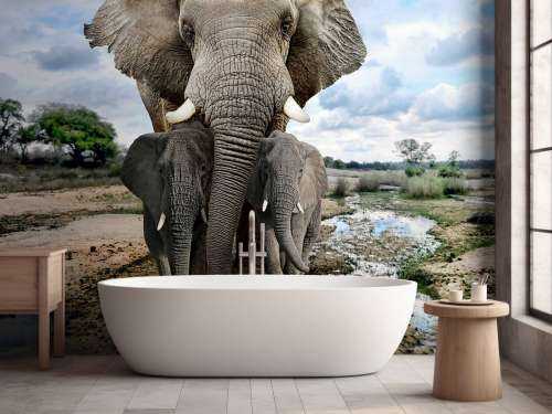 Olifant met kinderen