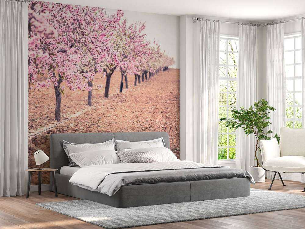 Roze rozenbomen