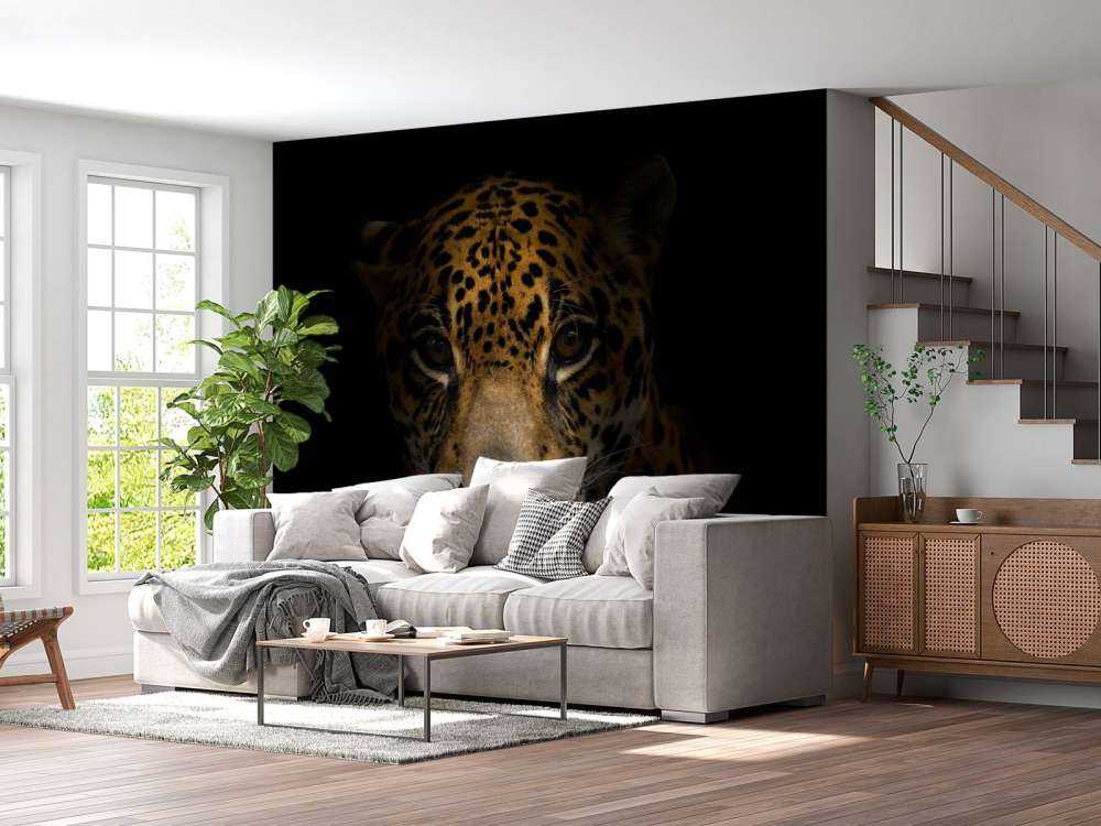 Jaguar met een donkere achtergrond