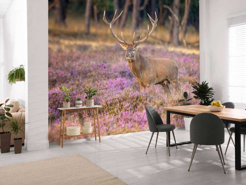 Hert op de Veluwe