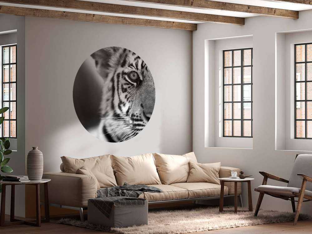 Mooie tijger in zwart-wit