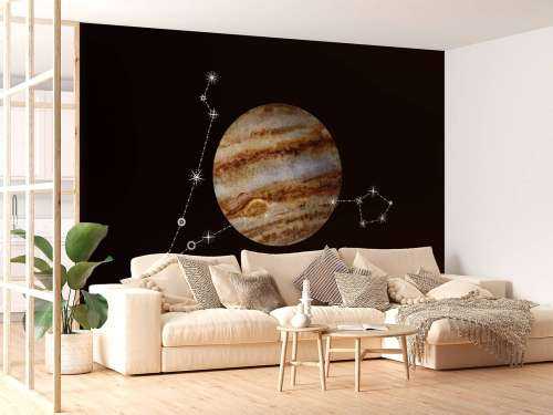 Sterrenbeeld planeet Vissen 