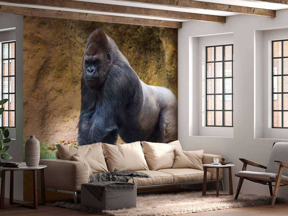 Grote mannelijke gorilla