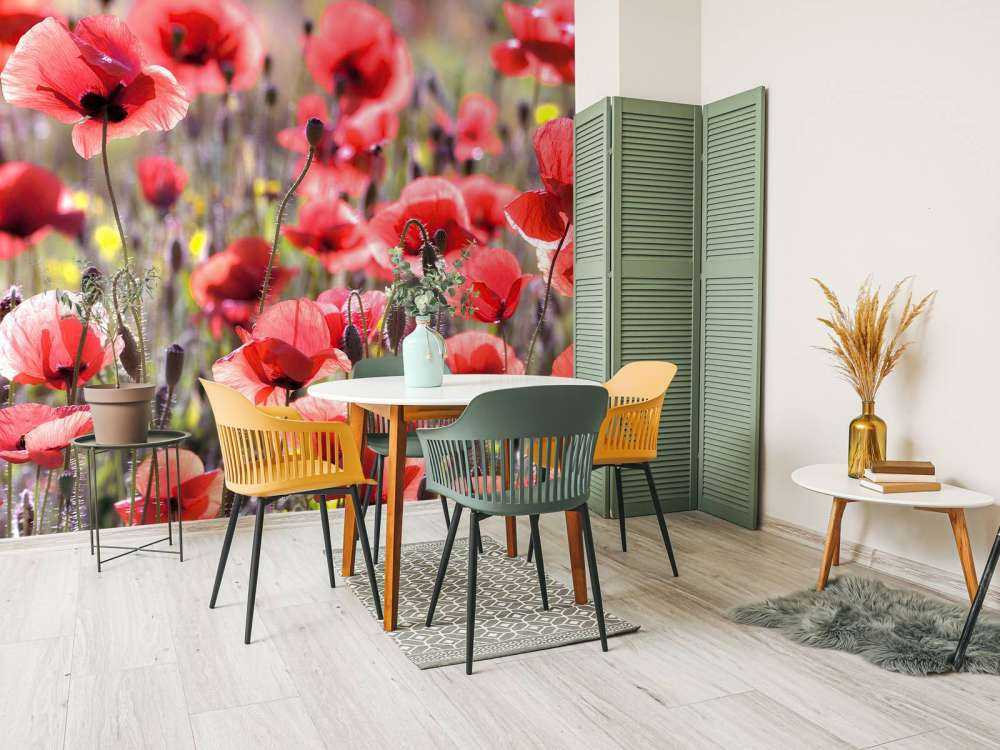 Klaprozen met vintage look