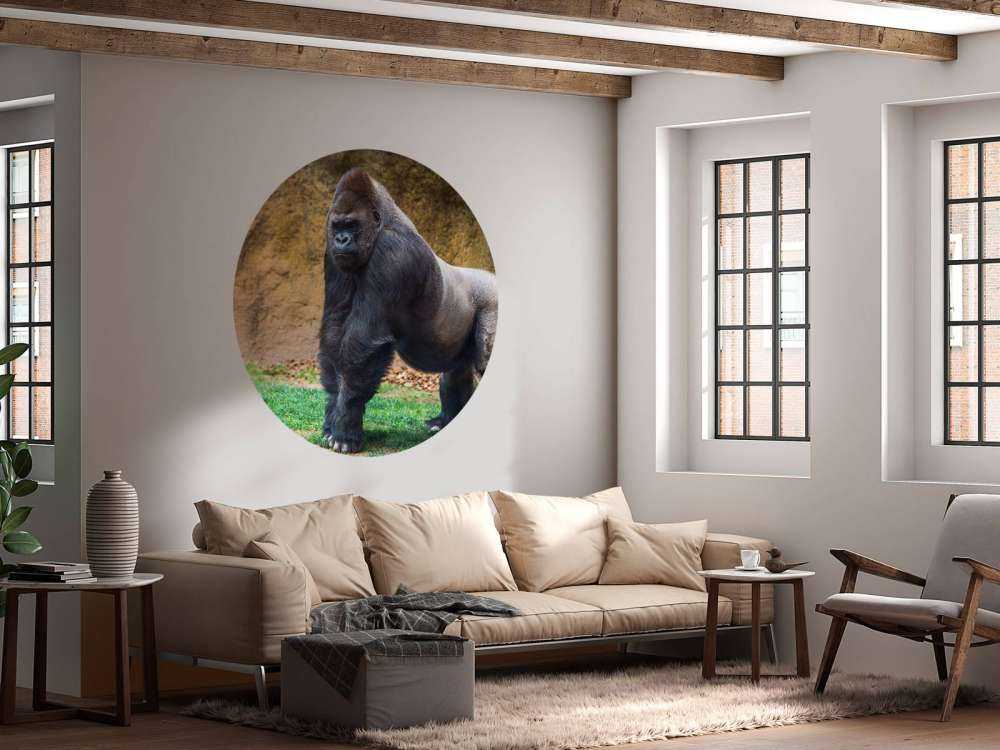 Grote mannelijke gorilla