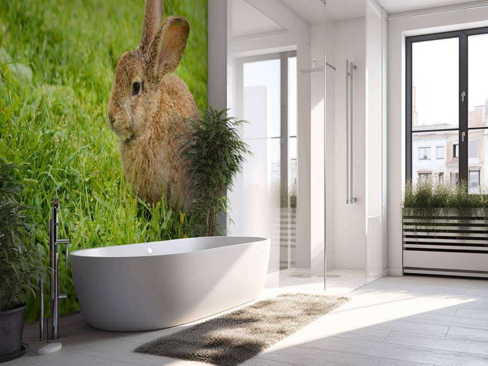 Konijn op het gras