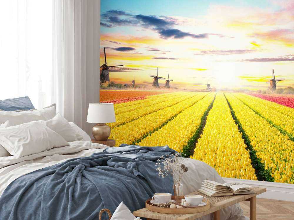 Hollands tulpenveld
