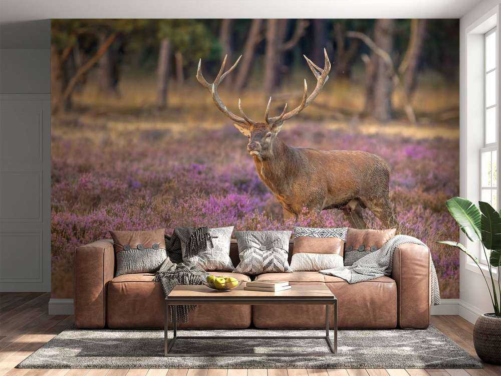 Hert op de Veluwe
