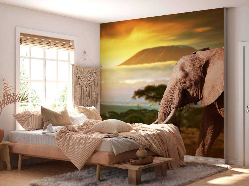 Olifant in een savanne landschap bij zonsondergang