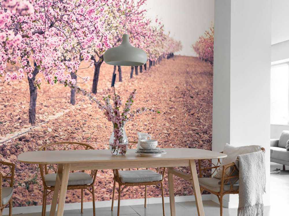 Roze rozenbomen