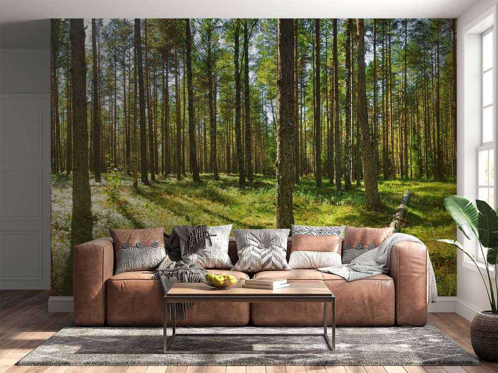 Bomen in het Bos