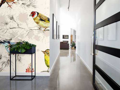 Kleurrijke vogeltjes textuur