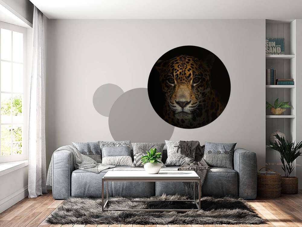 Jaguar met een donkere achtergrond