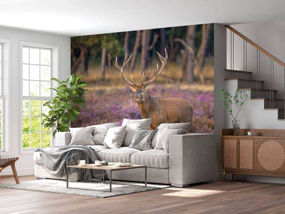 Hert op de Veluwe
