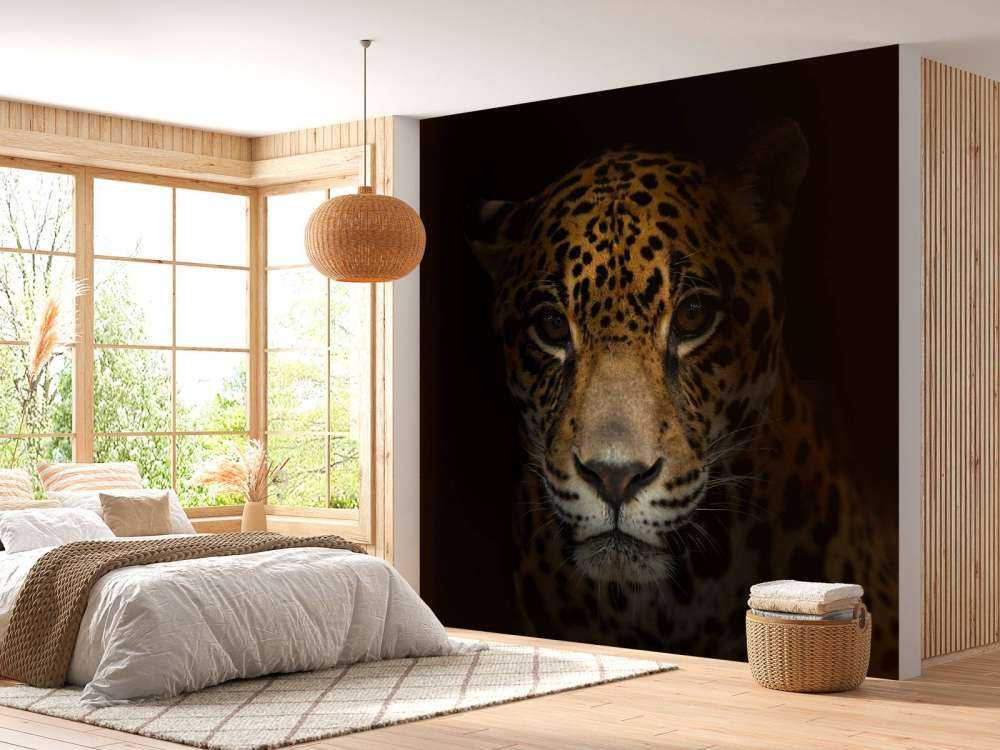 Jaguar met een donkere achtergrond