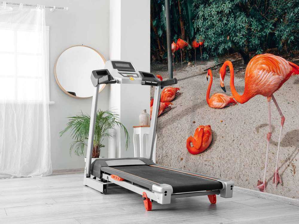 Flamingo's op een Caribisch eiland