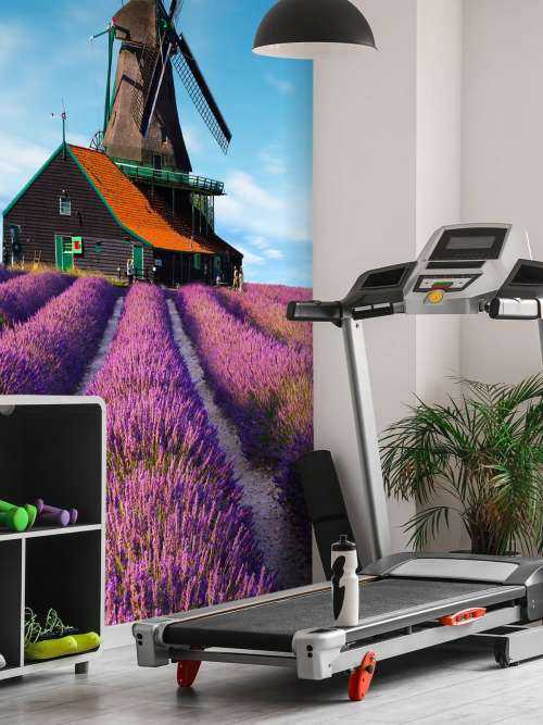 Lavendel veld met Windmolen op Achtergrond