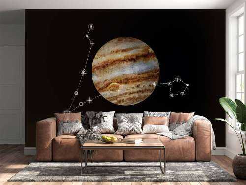 Sterrenbeeld planeet Vissen 