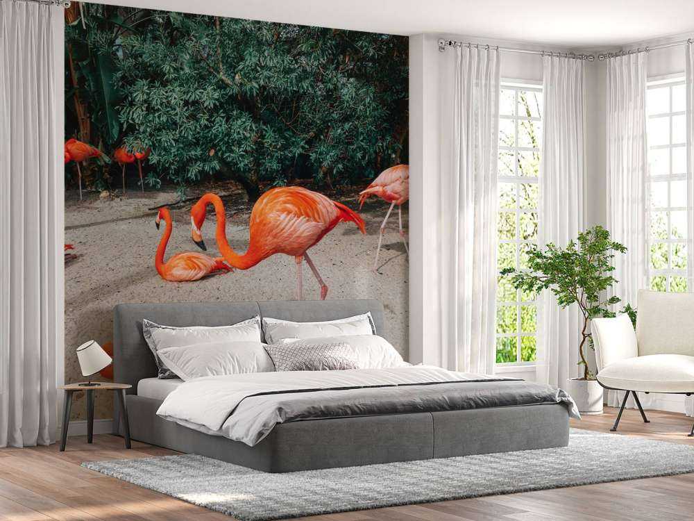 Flamingo's op een Caribisch eiland