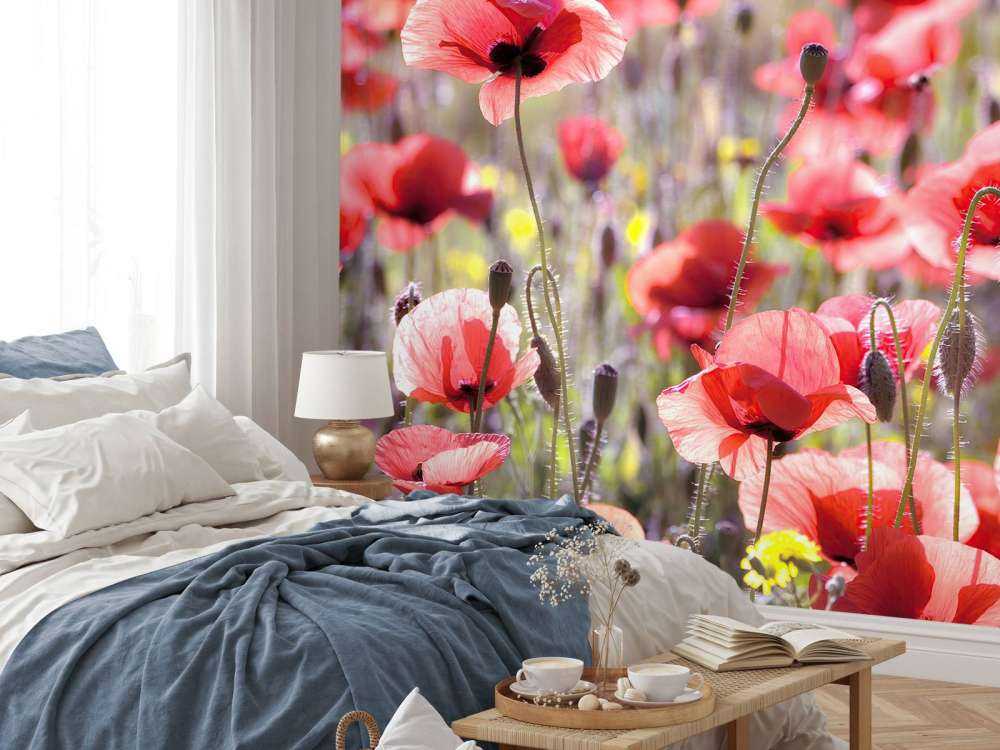 Klaprozen met vintage look