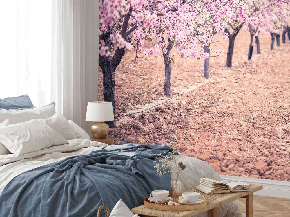 Roze rozenbomen