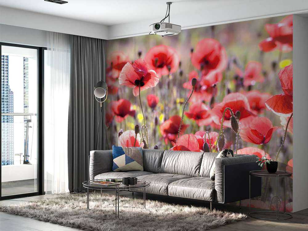 Klaprozen met vintage look