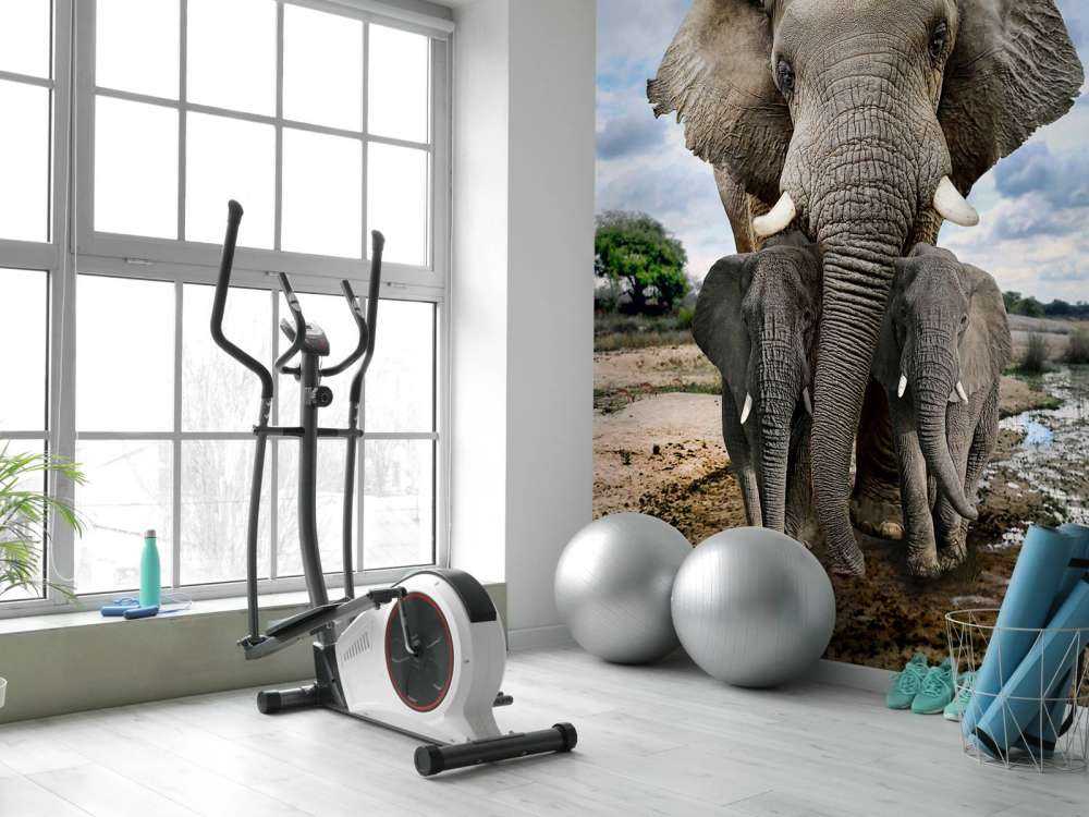 Olifant met kinderen
