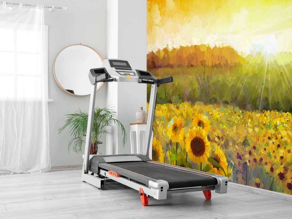 Schilderij van een zonnebloemen landschap
