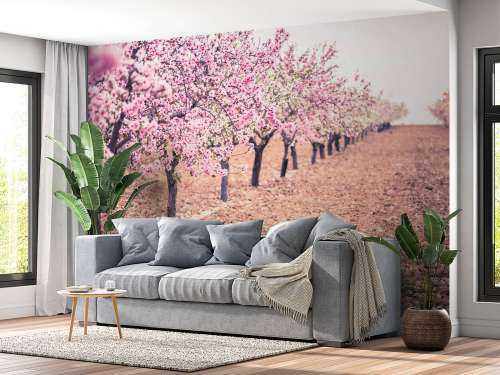 Roze rozenbomen