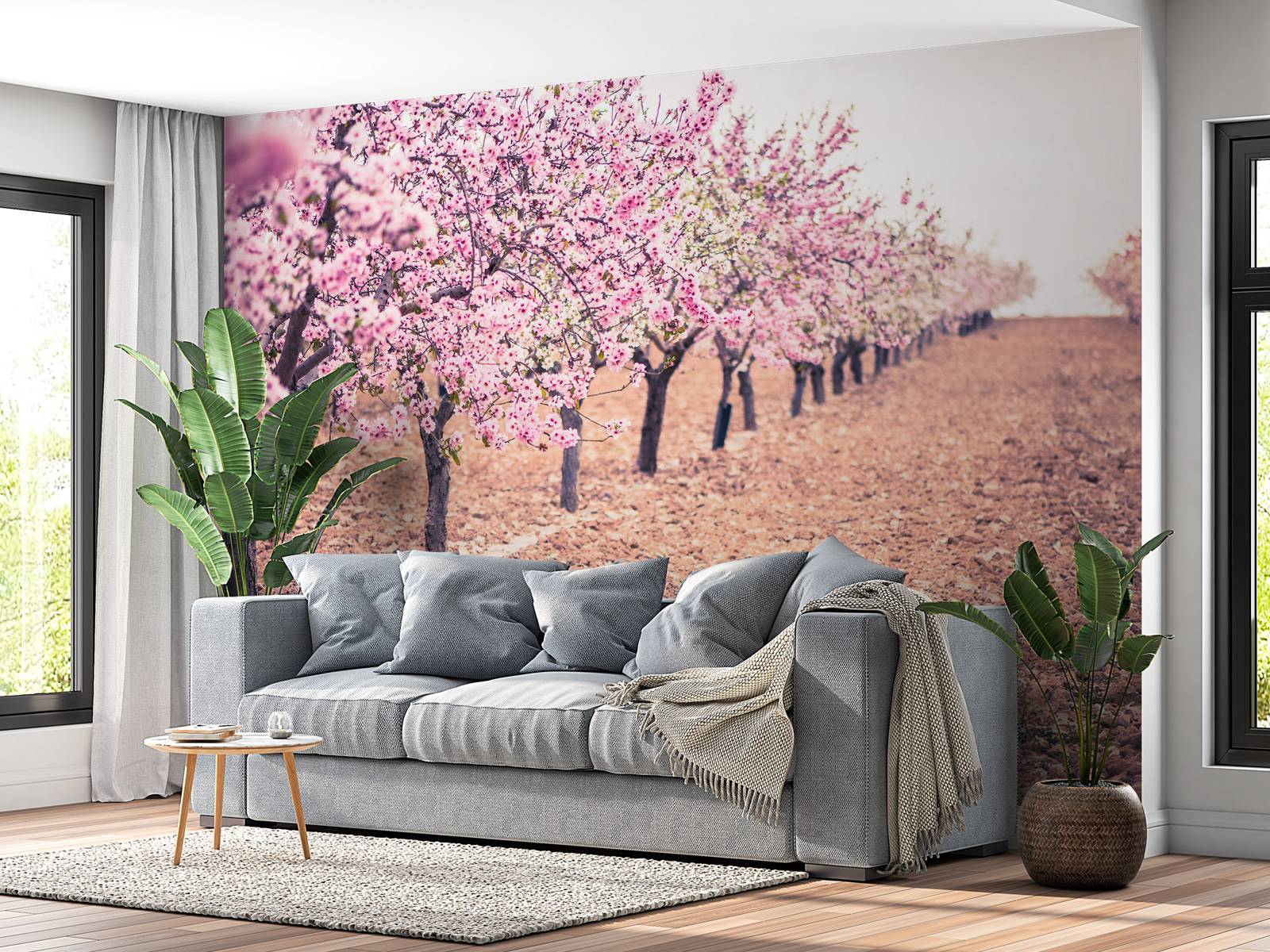 Roze rozenbomen