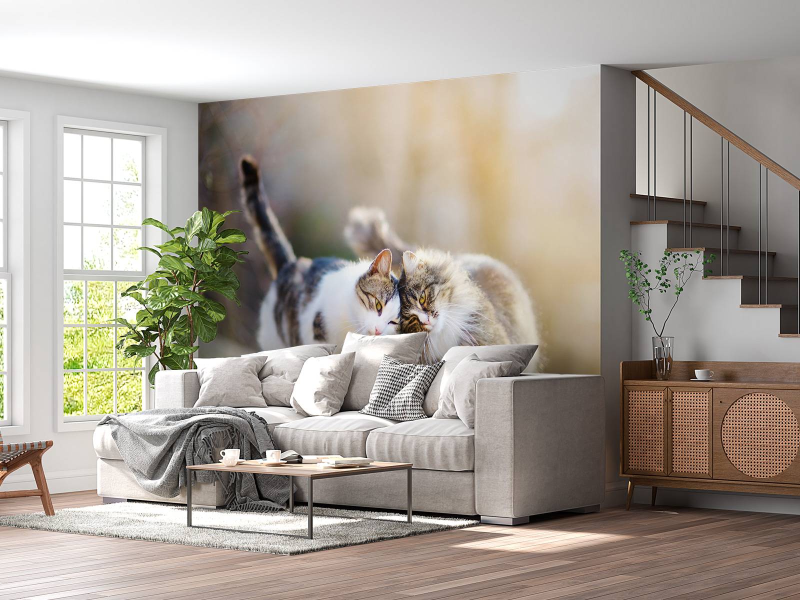 Twee schattige katjes