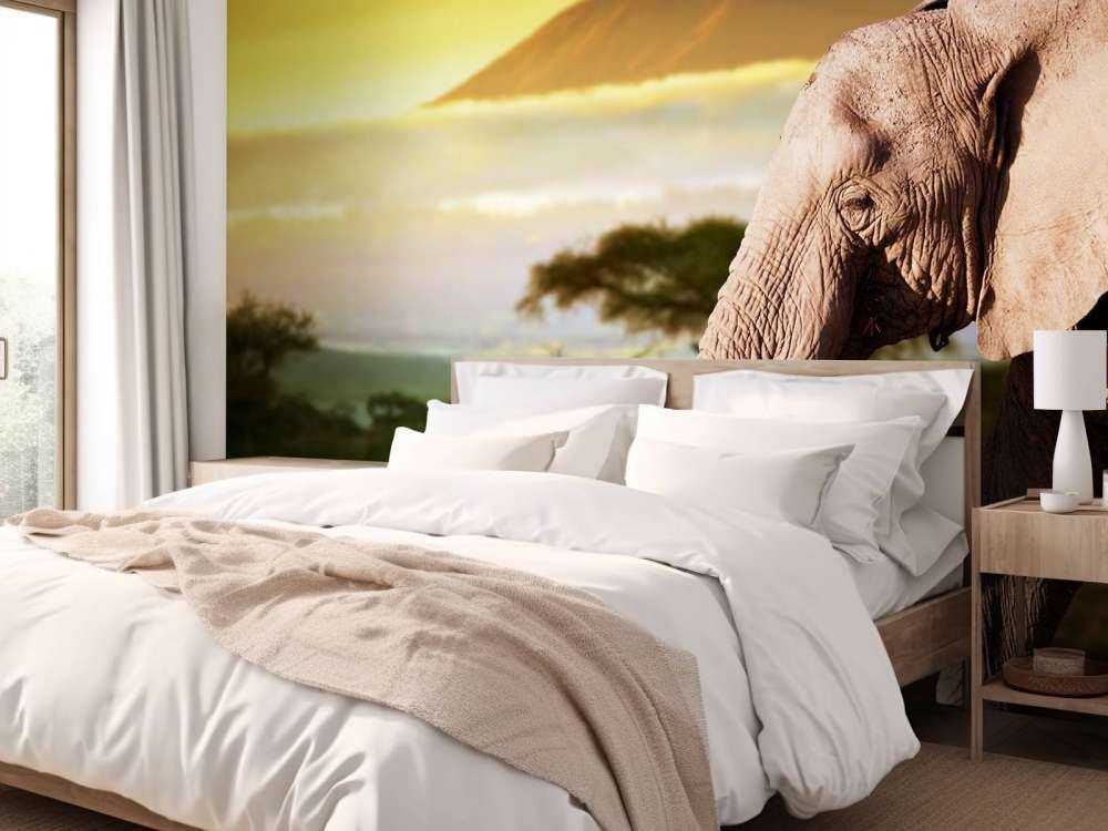 Olifant in een savanne landschap bij zonsondergang