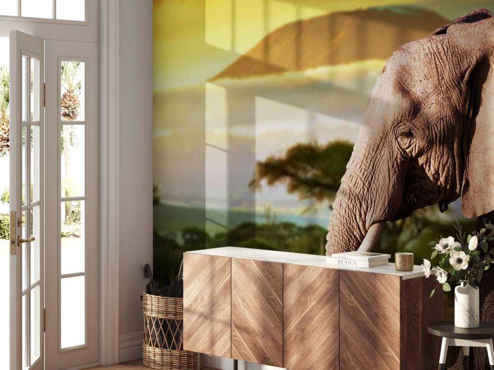 Olifant in een savanne landschap bij zonsondergang