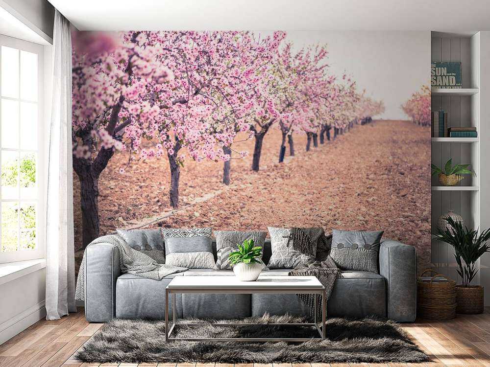 Roze rozenbomen