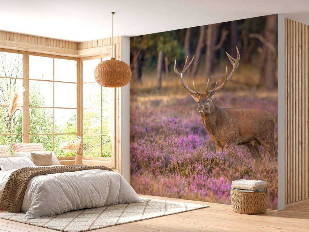Hert op de Veluwe